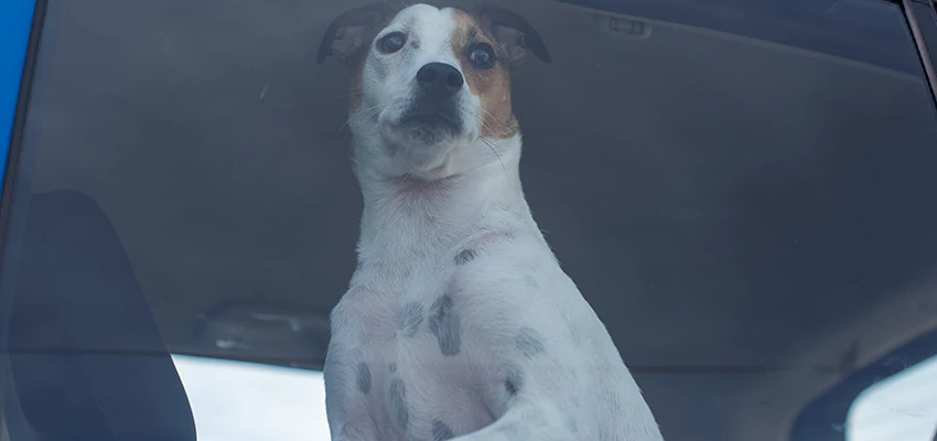 Car Lockout Solutions in Ceres, California